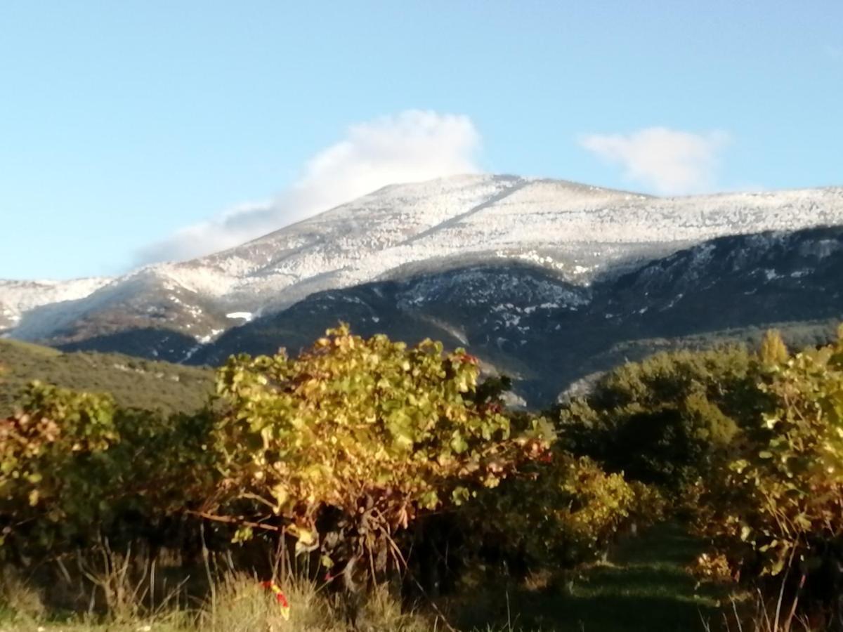 Le Petit Ventoux Village 马洛塞讷 外观 照片